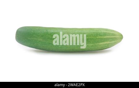 Single green fresh cucumber vegetable is isolated on white background with clipping path. Stock Photo