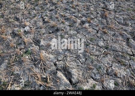 Dryed-out soil on a field in the rural surroundings, Kumrokhali, West Bengal, India Stock Photo