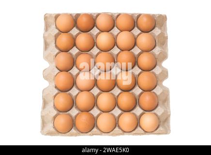 Top view of eggs in open carton or paper tray is isolated on white background with clipping path. Stock Photo