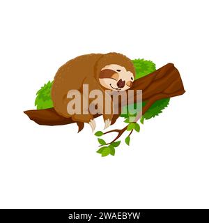 Cartoon funny sloth character peacefully slumbers on tree branch. Isolated vector cute tropical animal nap, its tranquil expression and relaxed posture capturing the essence slow and easygoing nature Stock Vector