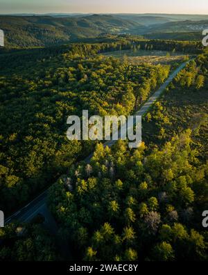 Aerial view of a winding road cutting through a dense green forest and ...