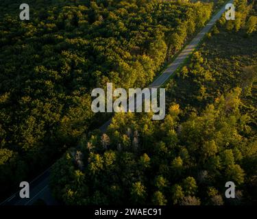 An aerial view of a winding road cutting through lush green forests ...