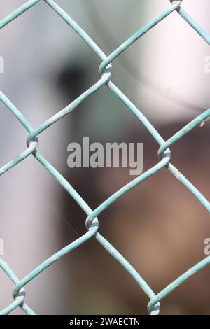 A close-up shot of a chain-link fence against a blurry background Stock Photo