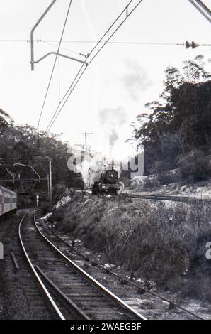The Blue Mountains Rail Line 1977: A historic image from 1977, taken from an electric train passing between Mount Victoria and Lithgow, a historic steam locomotive can be seen passing in the opposite direction on the Zig Zag Railway line Stock Photo