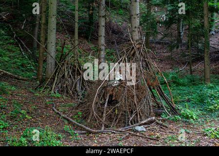 Folded branches after cutting down trees in the forest Stock Photo