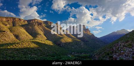 Early morning sun casts warm light over a Saguaro cactus-laden canyon with dramatic cloudscape. Stock Photo