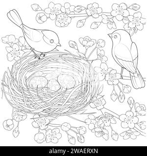 Family birds in a nest, in the branches of a blooming apple tree. Coloring page for kids and adults. Page for relaxation and meditation. Vector contour illustration. Stock Vector