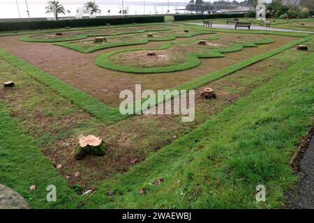 The stumps of the iconic palm trees in Abbey Park Gardens (Italian Gardens) on Torquay seafront. Stock Photo