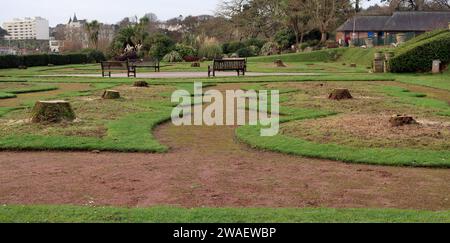 The stumps of the iconic palm trees in Abbey Park Gardens (Italian Gardens) on Torquay seafront. Stock Photo