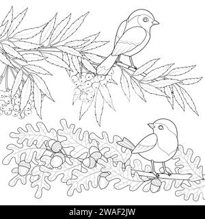 Birds on branch, vector. Two birds on two branches looking each other. Branch illustration in autumn. Coloring page for kids and adults. Poster design. Vector illustration Stock Vector