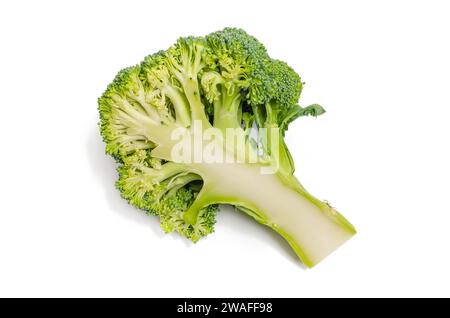 Half of fresh green broccoli isolated on white background. Appetizing vegetable healthy nutrition Stock Photo