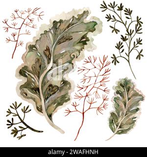 Set of stylized textured tropical leaves and twigs on a white background. Isolate. Flat illustration. Drawing for the design of souvenirs, cards, post Stock Photo