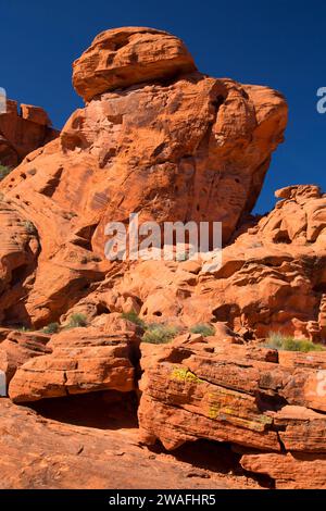 Petroglyph Canyon along Mouse's Tank Trail, Valley of Fire State Park, Nevada Stock Photo