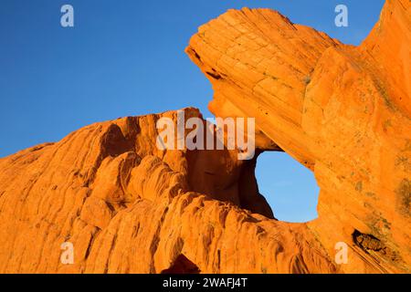 Natural arch, Gold Butte National Monument, Nevada Stock Photo