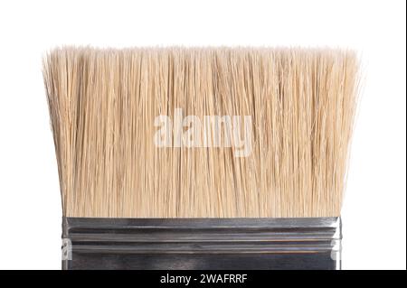 Closeup of paintbrush bristles of a very broad, thick and flat paintbrush, used for painting, to apply a lot of paint. Stock Photo