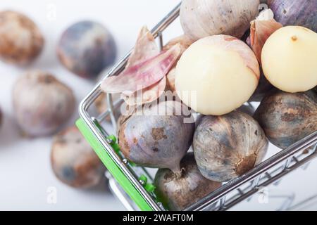 Thailand Organic Garlic Tone healthy food ingredient rustic White background Stock Photo