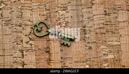 Bronze ornamental key with unique shapes and design on cork board wood background Stock Photo