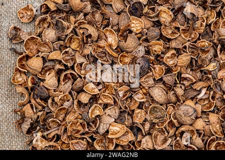 crushed walnut shells on old Jute sack to be used as fertilizer for plants. decomposing walnut shells release nutrients such as iron. zinc, potassium, Stock Photo