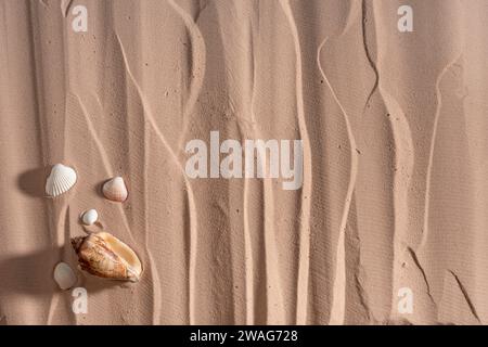 Close up of sand texture with seashells, abstract background and texture for design, Top view, copyspace. Stock Photo