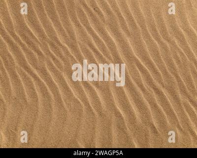 Wave pattern in a sandy beach as a background Stock Photo