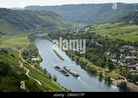 Bird's eye view of a village near the Mosel River surrounded by greenery and vineyards in Germany Stock Photo