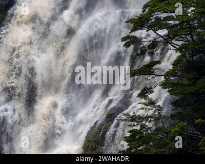 Waterfall and trees in Dusky sound Fiordland National Park, New Zealand Stock Photo