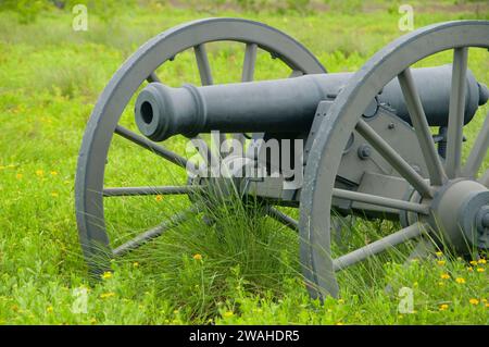 American cannon along Battlefield Trail, Palo Alto Battlefield National Historic Park, Texas Stock Photo