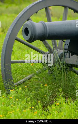 American cannon along Battlefield Trail, Palo Alto Battlefield National Historic Park, Texas Stock Photo
