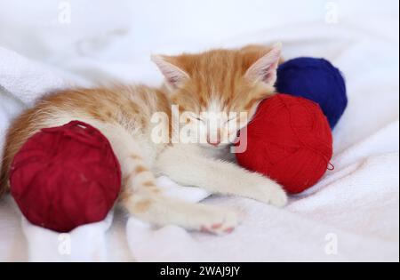 Little striped kitten sleeps on a white blanket with balls of yarn Stock Photo