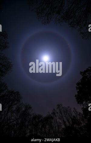 A captivating image showcasing a luminous halo encircling the moon amidst the silhouette of barren trees against the night sky Stock Photo