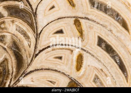 Inner surface of a cut and polished nautilus fossil (Cymatoceras sp) dating back to the Late Jurassic period (approx 160 million years ago); from Mada Stock Photo