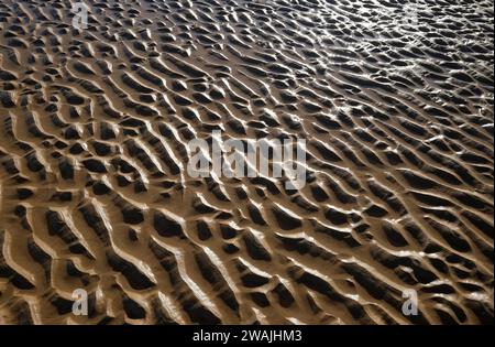 ripples in wet sand, holkham beach, north norfolk, england Stock Photo