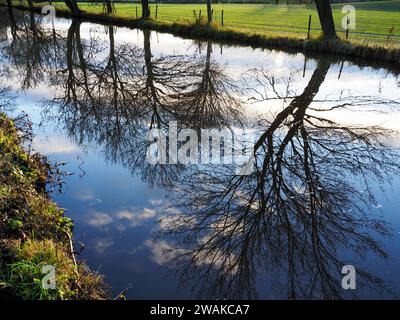 Winter tree reflections in Ripon Canal Ripon North Yorkshire England Stock Photo
