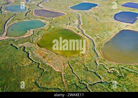 France, Somme, Baie d'Authie, Fort-Mahon, aerial view of the Baie d'Authie Stock Photo