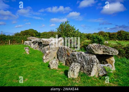 France, Manche (50), Cotentin, Bretteville, Allée couverte de la Forge // France, Normandy, Manche department, Cotentin, Bretteville, covered alley of Stock Photo