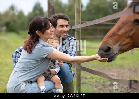 portrait of a young happy family feeding horses Stock Photo