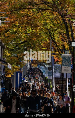 crowds of shoppers on busy omotesando street under the colourful autumn foliage of elm trees shopping at luxury boutiques and funky cafes in tokyo Stock Photo