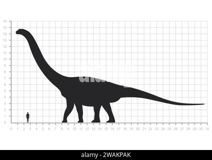 Comparison of human and dinosaur sizes measuring scale isolated on white background. Argentinosaurus or Brachiosaurus silhouette black. Vector illustr Stock Vector