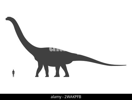 Comparison of human and dinosaur sizes isolated on white background. Argentinosaurus or Brachiosaurus silhouette black. Vector illustration Stock Vector