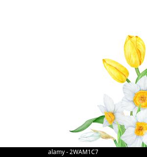 Frame of white narcissus, yellow tulip. Watercolor illustration of daffodil. Hand drawn watercolor botanical painting of fragrant spring garden flower Stock Photo