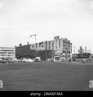 A view of Rotterdam in 1955 – this was photographed looking across a grassed area to the parked cars on Kruikade and the Old Luxor theatre – showing was ‘Vrouwen op Avontuur’ with Georges Marchal and Maria Mauban. Next to it is the Hotel Centraal. The area suffered bomb damage during World War II and this view has now gone with modern high-rise buildings replacing open areas like this – a vintage 1950s photograph. Stock Photo