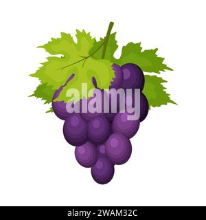 Bunch of wine grapes with leaves isolated on white background. Grape icon in flat cartoon style. Fresh berry, raw materials fruit. Vector illustration Stock Vector