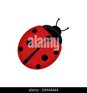 Cute red ladybug beetle insect in flat style on isolated on white background. Vector illustration. Stock Vector