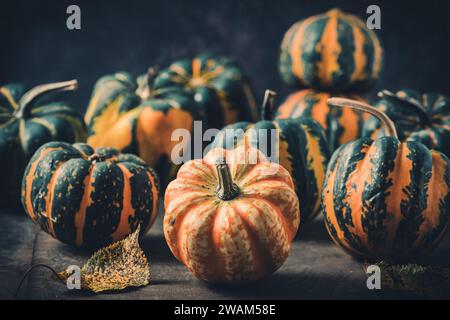 Various small pumpkins with a striped pattern on dark background Stock Photo