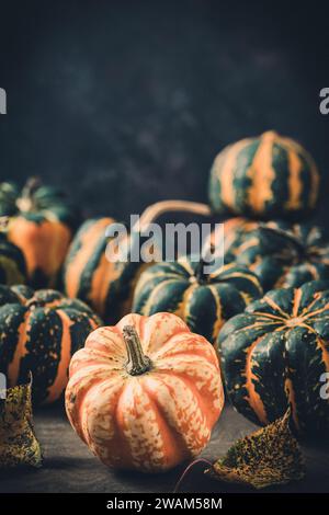 Various small pumpkins with a striped pattern on dark background, vertical with copy space Stock Photo