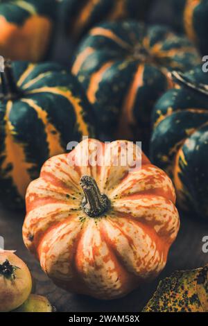 Close-up of various small pumpkins with a striped pattern Stock Photo