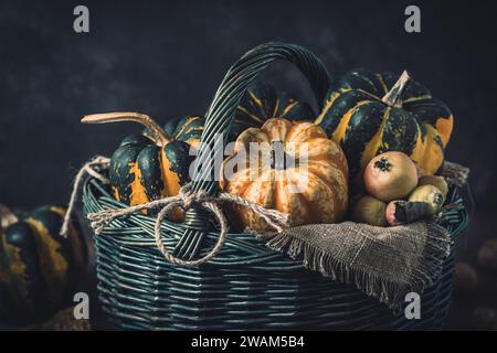 Basket with various small pumpkins with a striped pattern on dark background Stock Photo