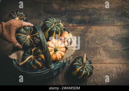 Basket with various small pumpkins on wooden background, a female hand taking one pumpkin, top view with copy space Stock Photo