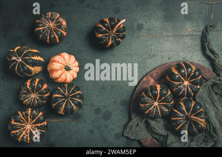 Various small pumpkins with a striped pattern on dark green background, top view Stock Photo
