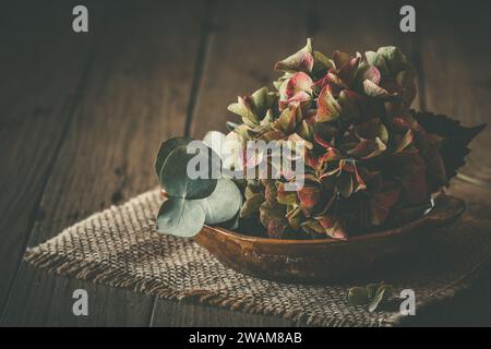 Half-dried and slightly faded pink hydrangea flower and an eucalyptus branch in a brown soup bowl on dark wooden background, beautiful vintage autumn Stock Photo